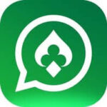 Yono Rummy New
