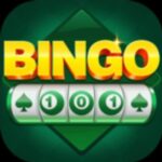 BINGO 101 Yono Game